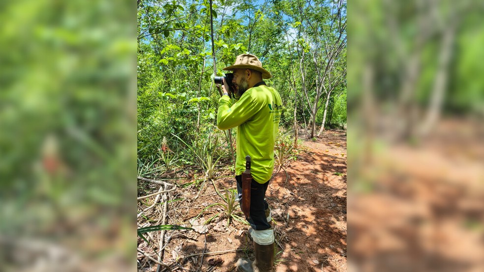 Thiago Maia Davanso, doutor em zoologia, em São José do Rio Preto (SP) — Foto: Thiago Maia Davanso/Arquivo pessoal