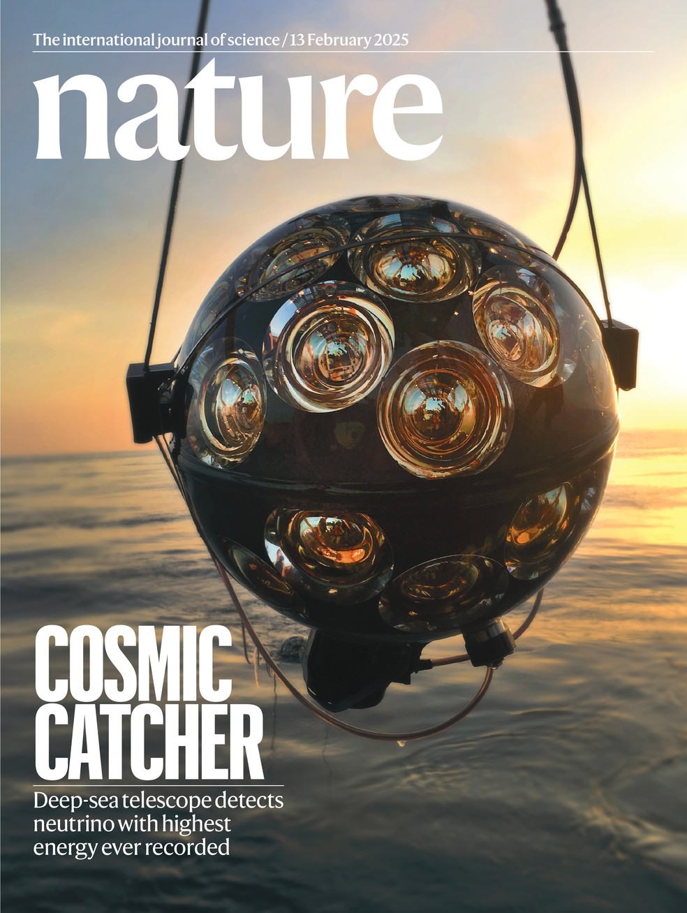 Capa da revista Nature de 13 de fevereiro de 2025. — Foto: Nature/Reprodução