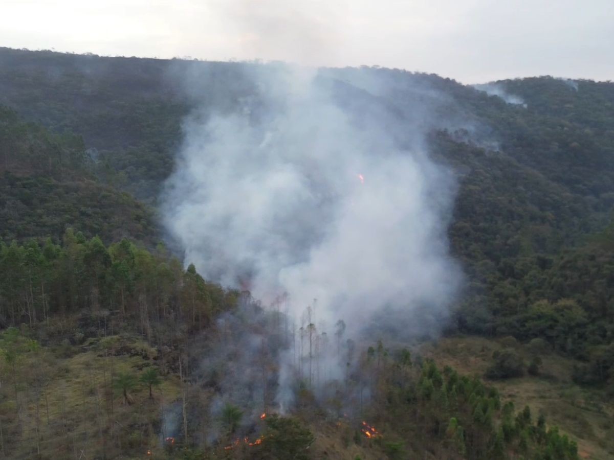 VÍDEO: incêndio atinge área de vegetação próxima à rodovia em Amparo