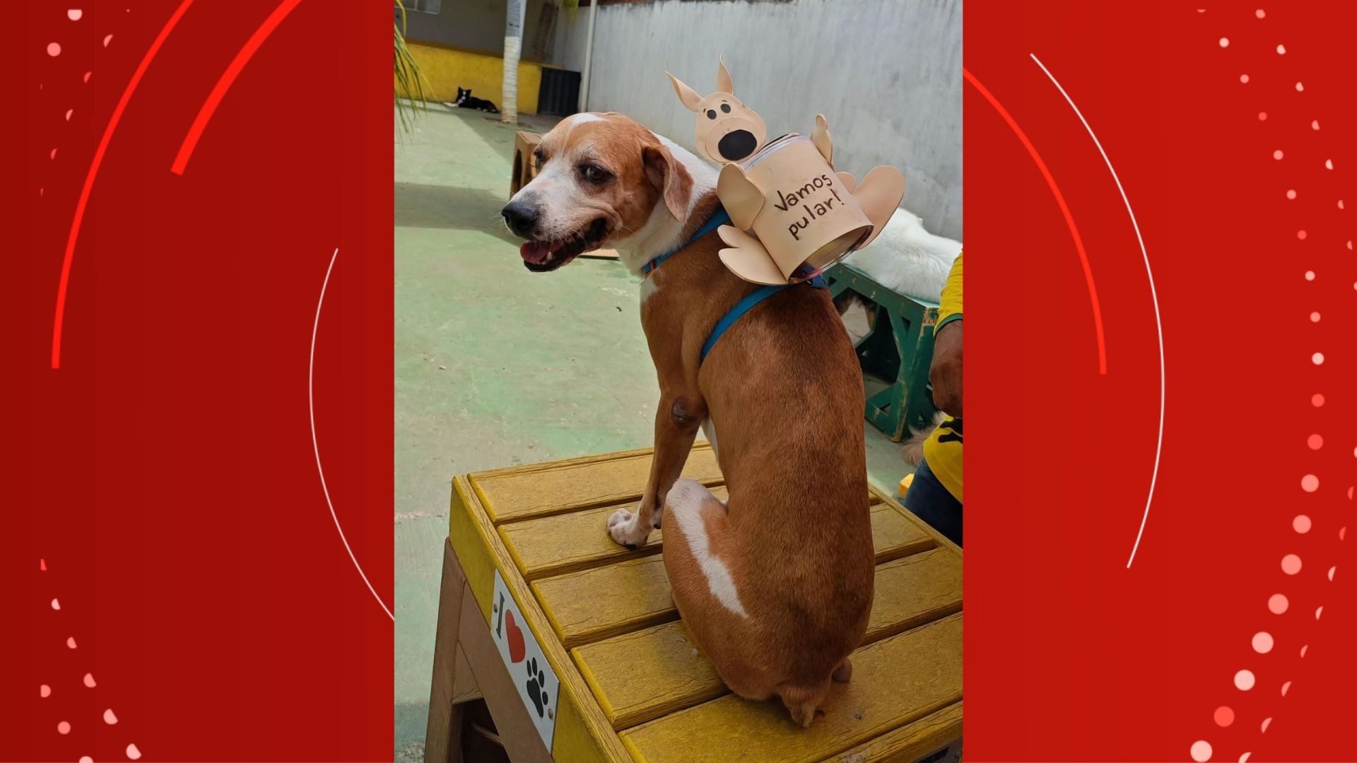 Kevinho usou uma mochila de canguru. — Foto: Karina Barros/Divulgação