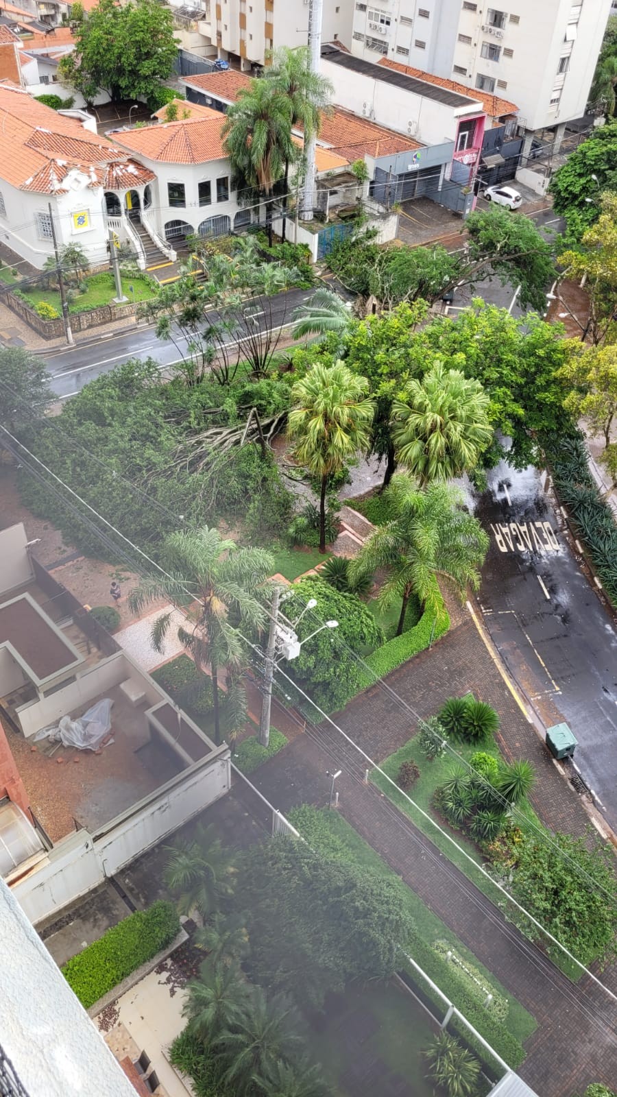 VÍDEO: chuva derruba árvores e causa alagamentos em Campinas