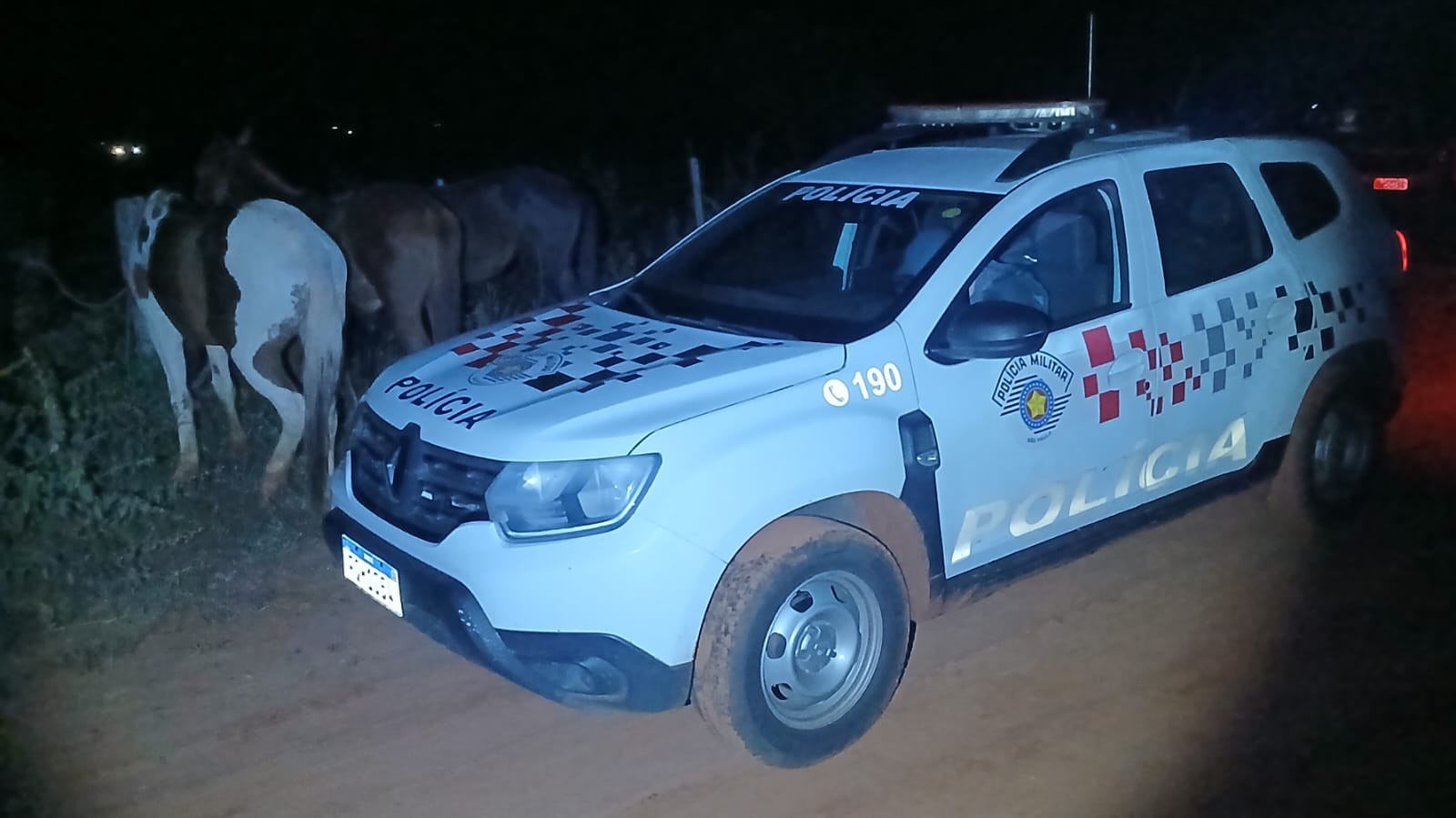 Ao tentar recuperar cavalos recolhidos pelo Centro de Zoonoses, homens são presos por dano ao patrimônio público em Presidente Epitácio