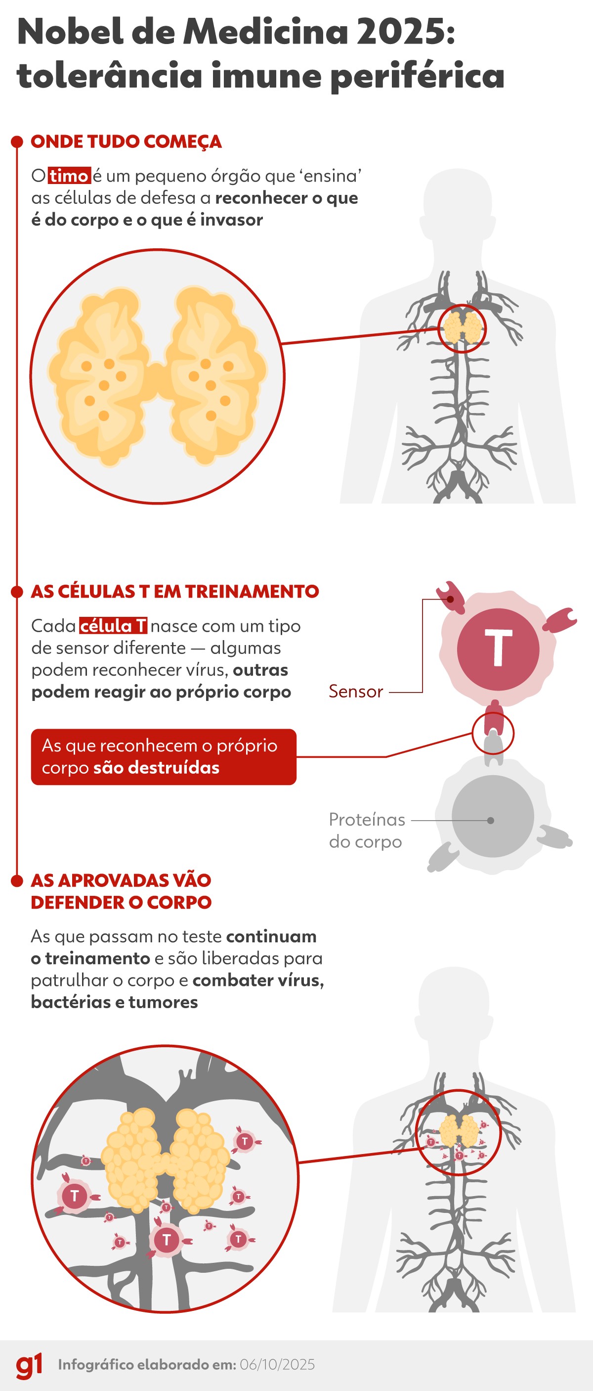 Laureados do Nobel de Medicina dizem esperar que descoberta leve a novos tratamentos contra câncer e doenças autoimunes
