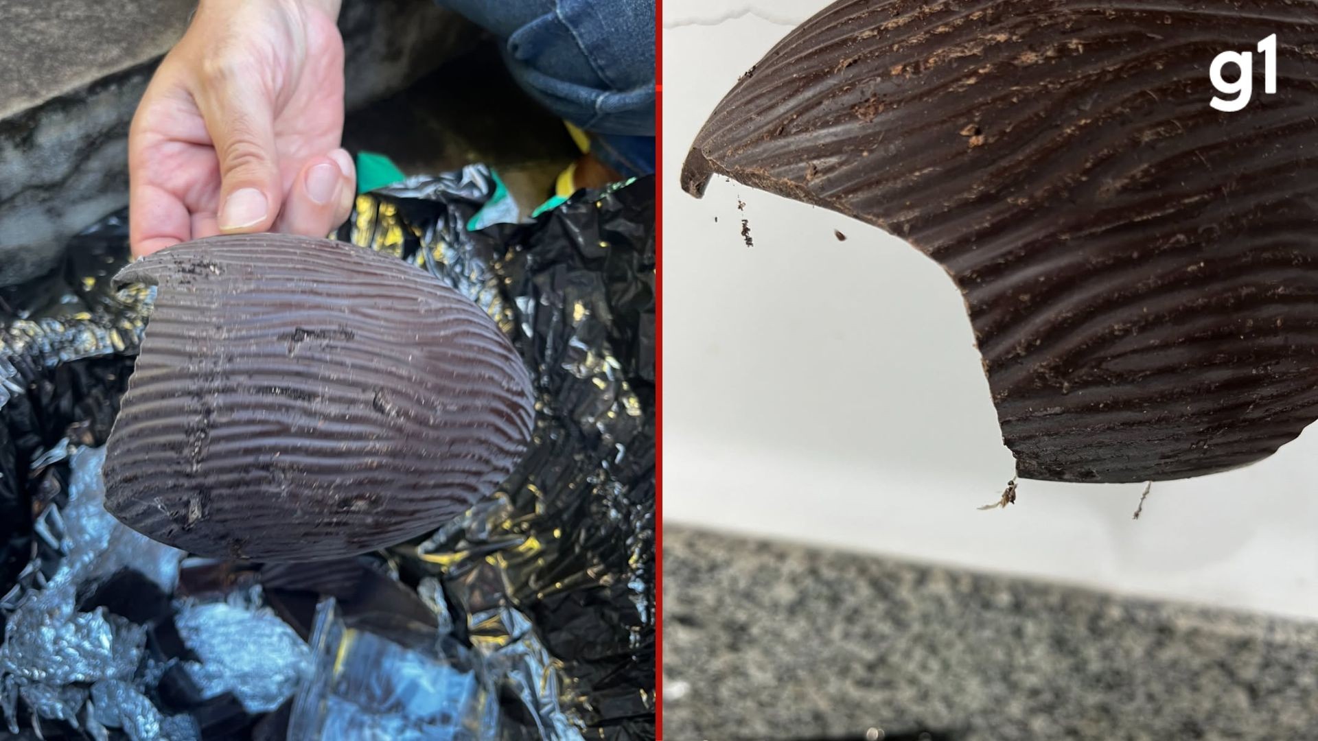 VÍDEO: Vigilância Sanitária encontra larvas e insetos em chocolates vendidos por loja de shopping de Porto Alegre