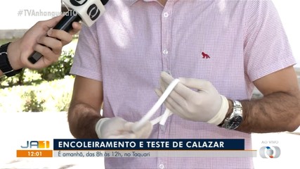 Ação vai encoleira cachorros para combate calazar no Taquari em Palmas