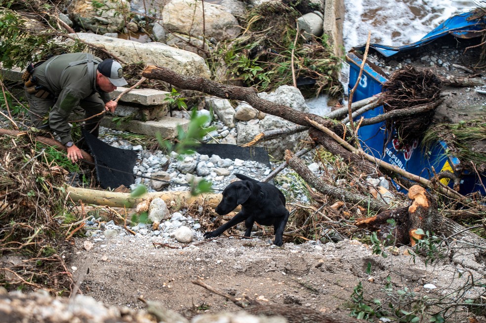 Um cão de busca atua no Camp Mystic após uma enchente mortal no condado de Kerr, Texas, EUA — Foto: REUTERS/Sergio Flores