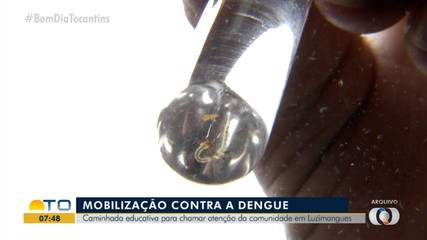Caminhada educativa contra a dengue vai ser realizada em Luzimangues