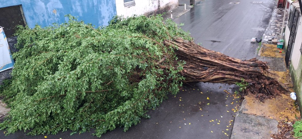 Chuva causa estragos em Salvador. — Foto: Redes sociais