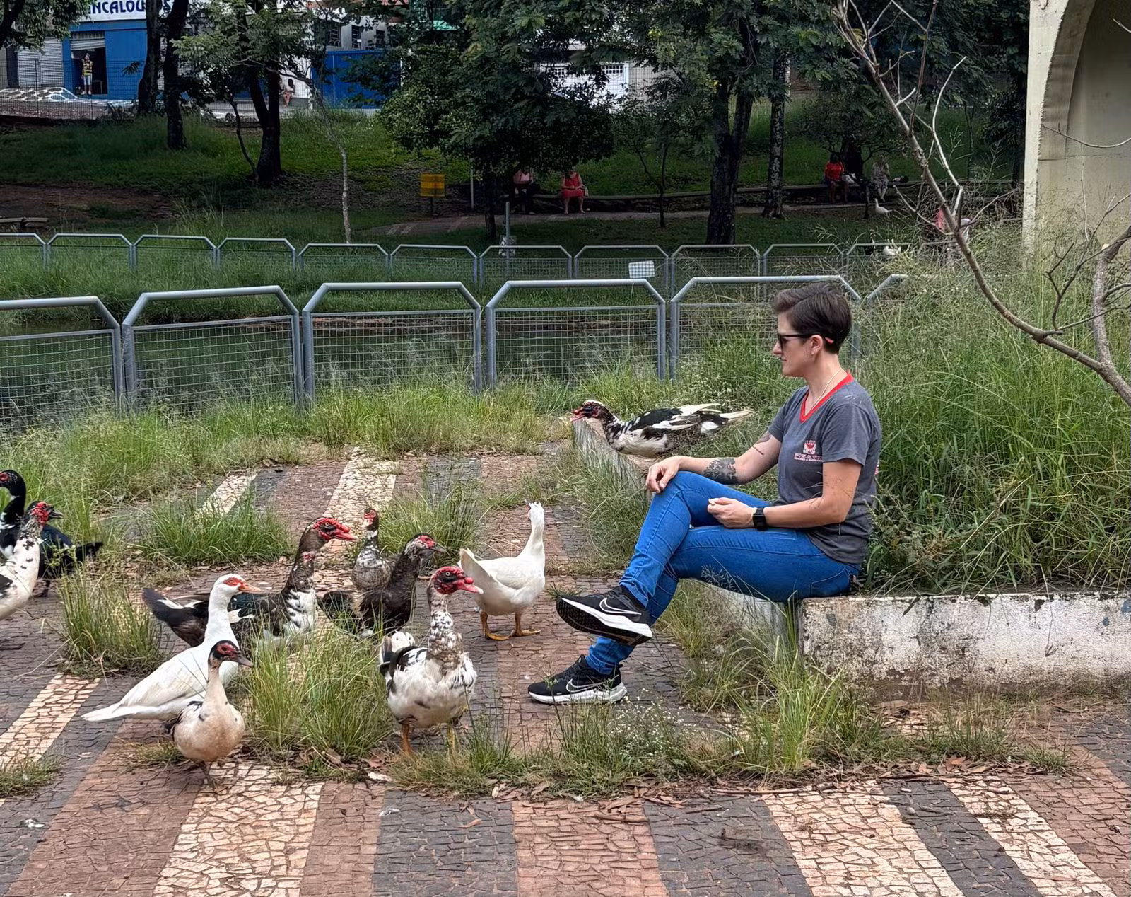 VÍDEO: comerciante viraliza com crítica bem-humorada sobre mato alto e buracos no interior de SP