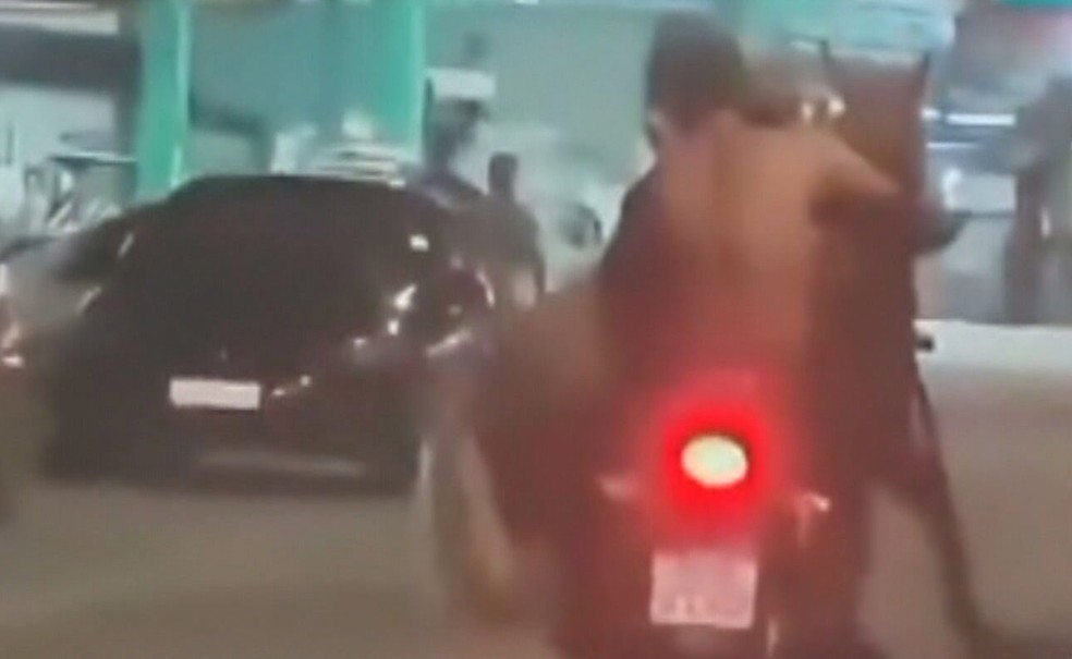 Duas pessoas levam cavalo em moto em Nova Iguaçu — Foto: Reprodução/ TV Globo