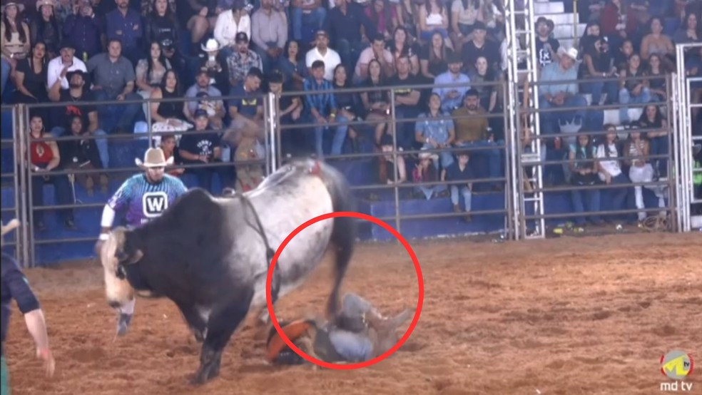 Vídeo mostra peão sendo pisoteado por touro em rodeio de Guapiaçu(SP) — Foto: Reprodução / ACR