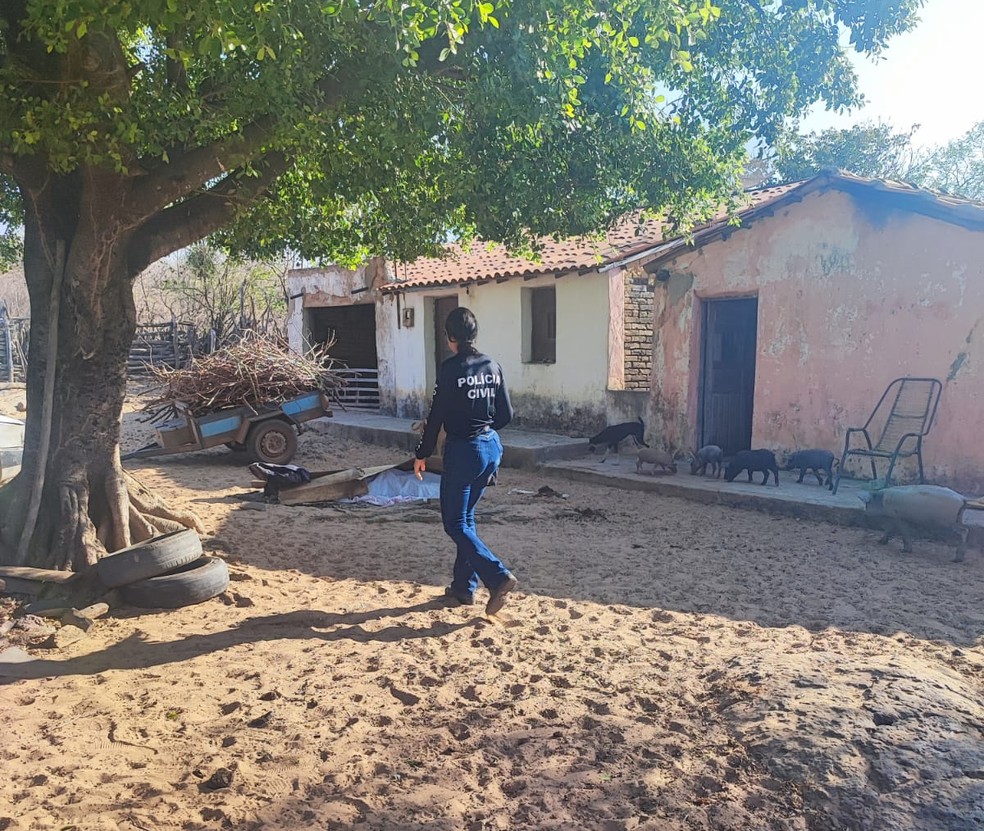 Às vésperas de completar 80 anos, pai é assassinado ao tentar separar briga entre filhos no Piauí; suspeito é preso — Foto: Divulgação /PM-PI