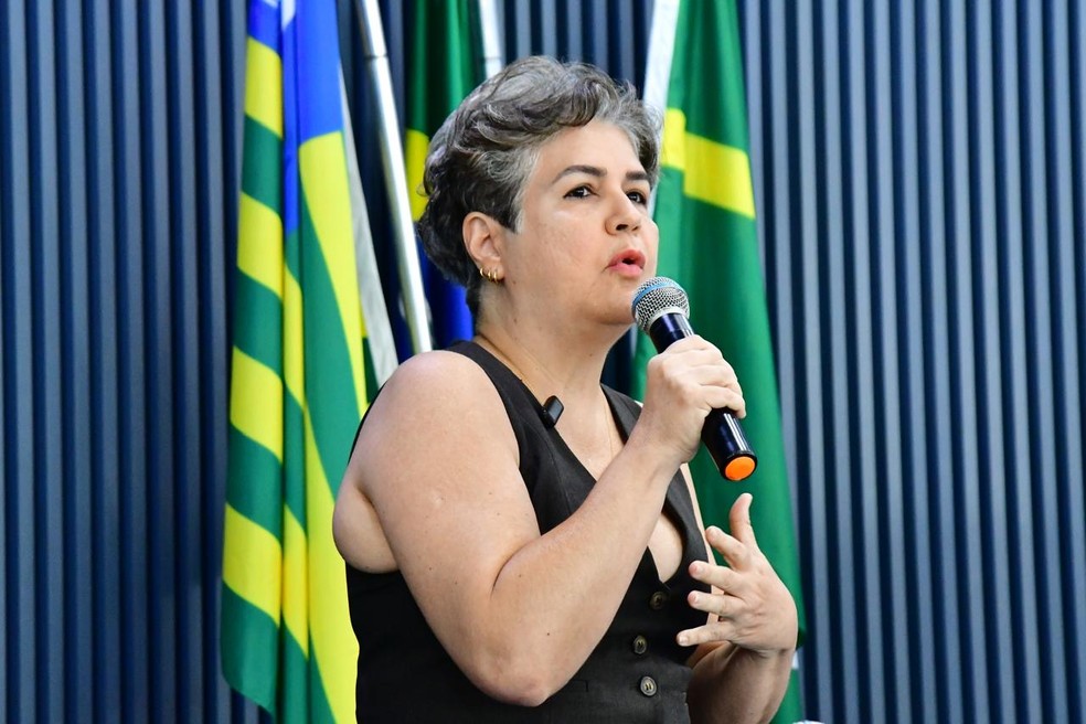 L&uacute;cia Santos, candidata ao Governo do Piau&iacute; pelo PSDB &mdash; Foto: Divulga&ccedil;&atilde;o/Simepi
