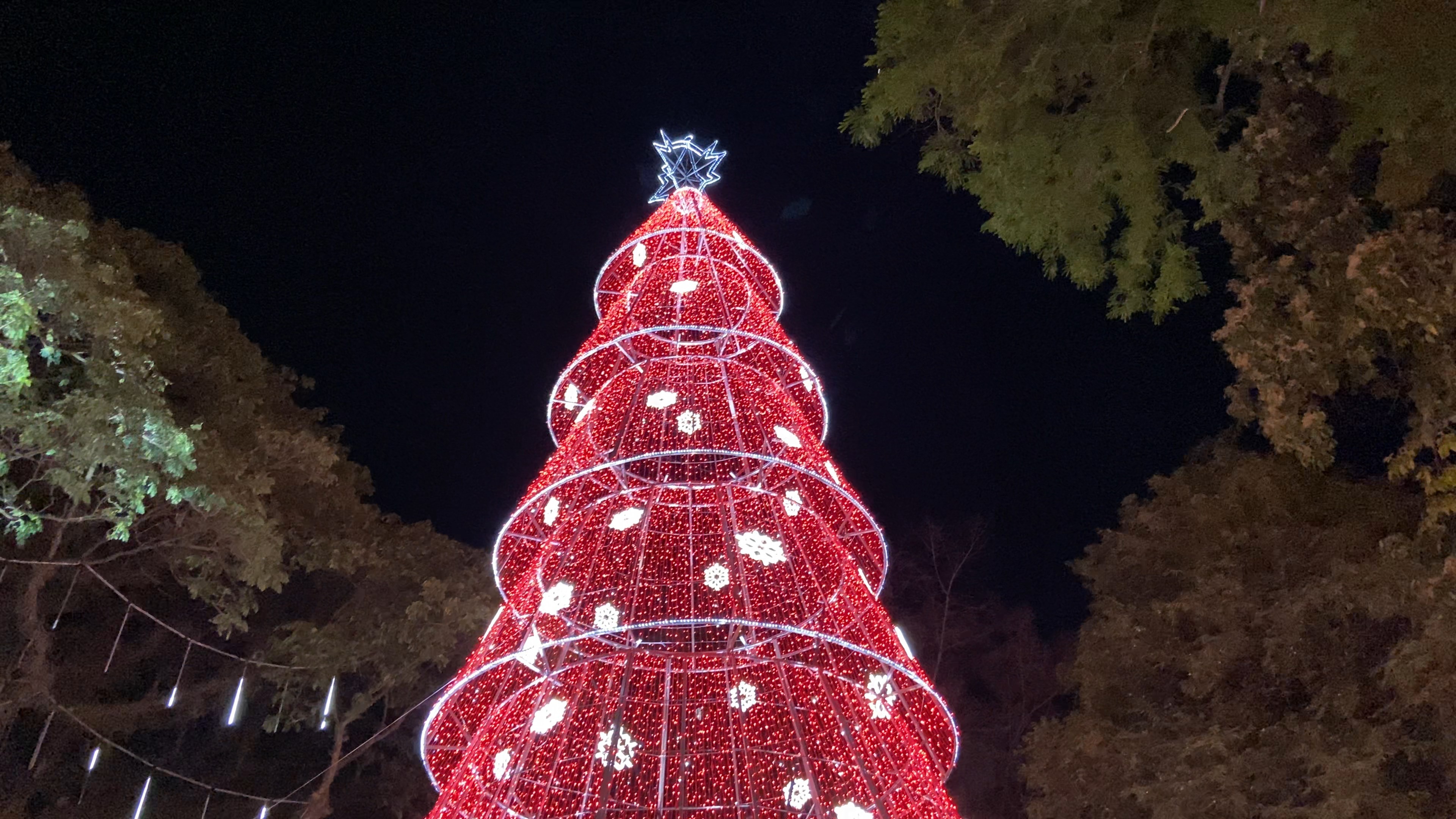 VÍDEO e FOTOS: Com árvore gigante, decoração de Natal do Parque Halfeld é inaugurada