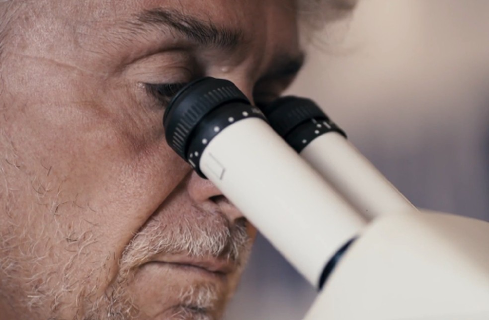 Cientistas estudam água-viva que pode trazer respostas sobre longevidade aos humanos. — Foto: TV Globo/Reprodução