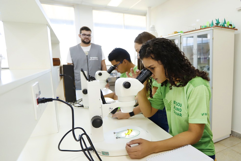 Senar abre cursos técnicos gratuitos para Mato Grosso do Sul — Foto: Reprodução/Senar MS