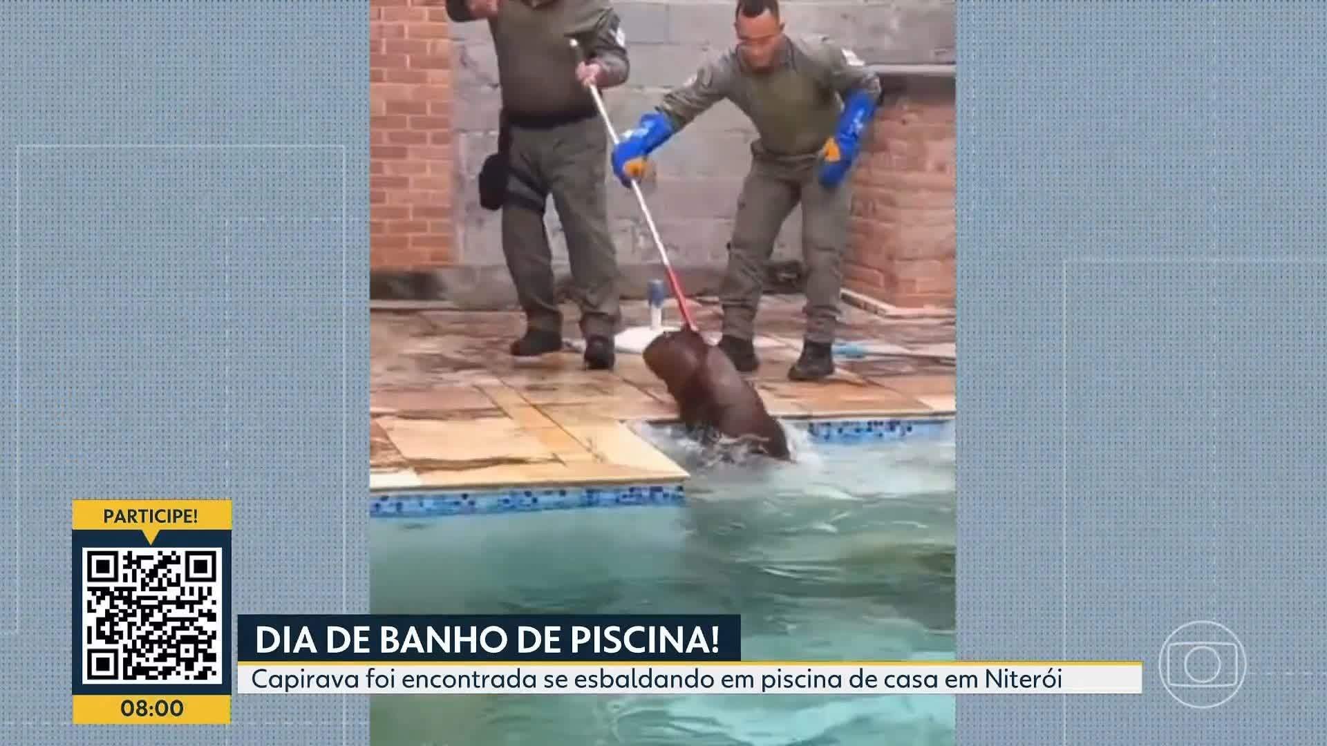 Você Não Tá Convidada pro Meu Bat Mitzvá!