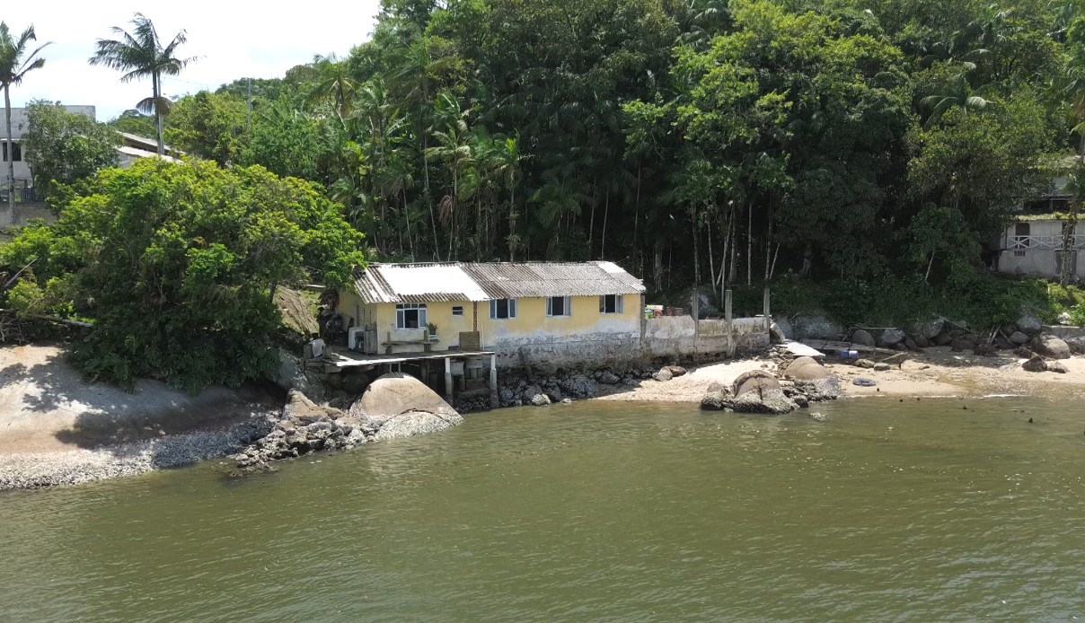 Uso de minhocas e 'jardim filtrante': pesquisadores criam tratamentos alternativos de esgoto para ilha isolada no Paraná