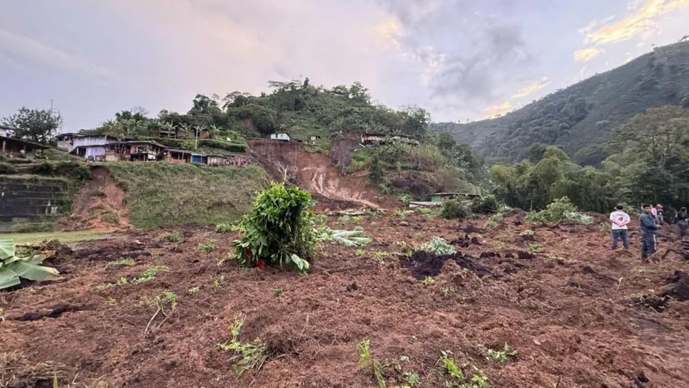 Situação dos cafezais na colômbia — Foto: AgroLatam.com