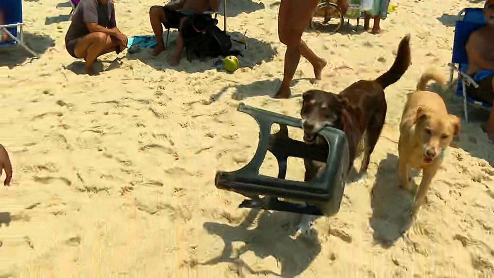 Som e DJ encantam clientes de barraca na Praia de Ipanema — Foto: Reprodução/ TV Globo