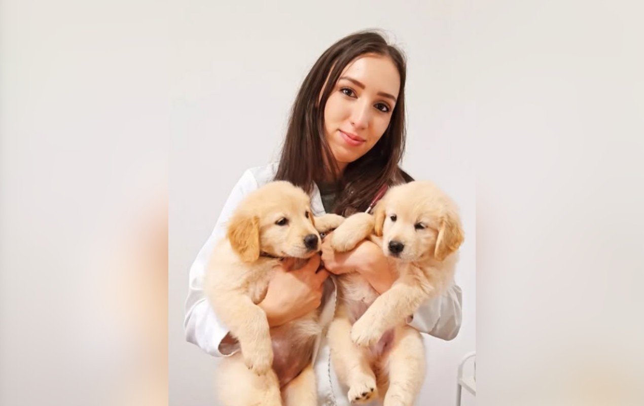 Desinfetante, cloro, ácidos e mais: veterinária explica que intoxicação por produtos de limpeza pode ser fatal aos pets