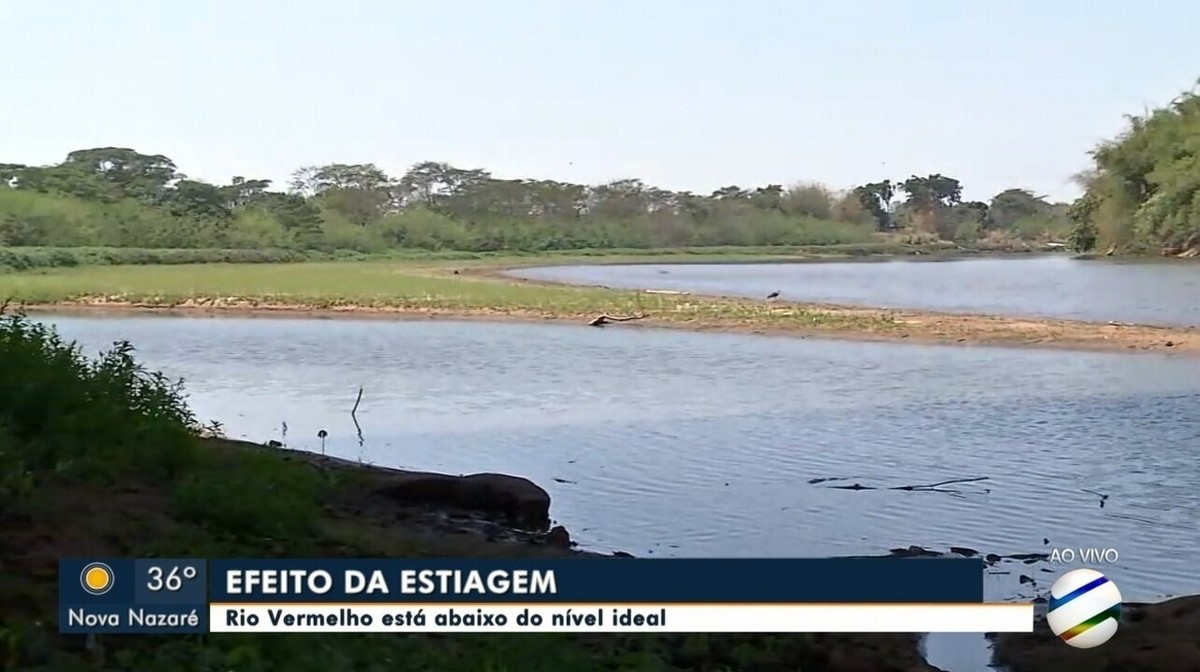 Nível de rio que abastece Rondonópolis (MT) está abaixo do índice ideal ...