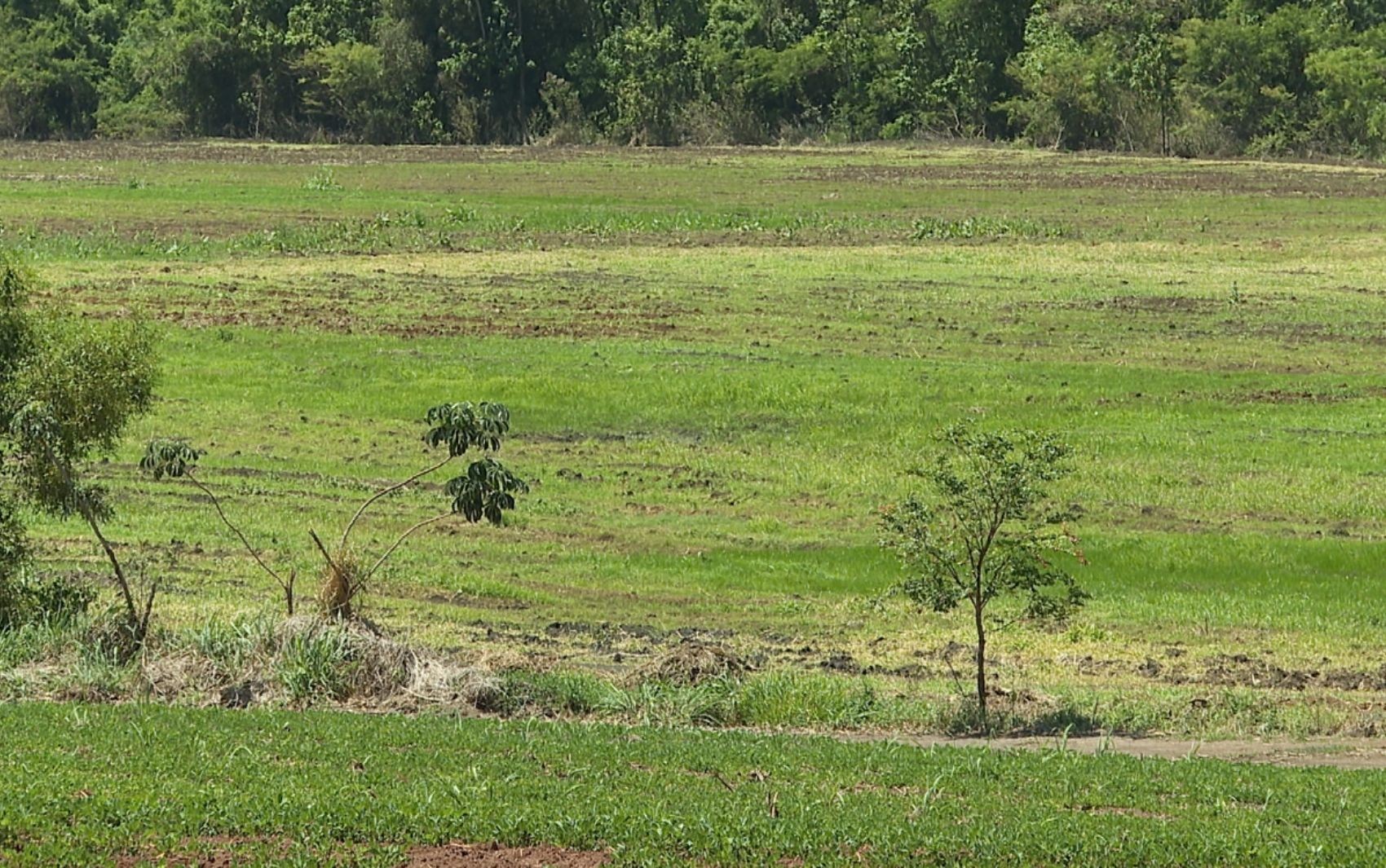 Moradores de baixa renda esperam há 5 anos por terrenos vendidos por entidade investigada em SP