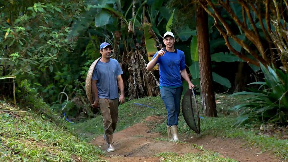 Colheita do café arábica começa no Espírito Santo e produção deve superar em mais de 1 milhão e meio a quantidade de sacas de 2023. — Foto: TV Gazeta