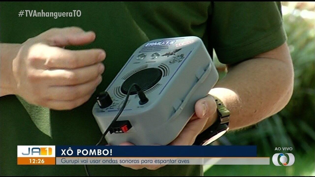 Veja como funciona o equipamento usado para espantar pombos em espaços ...