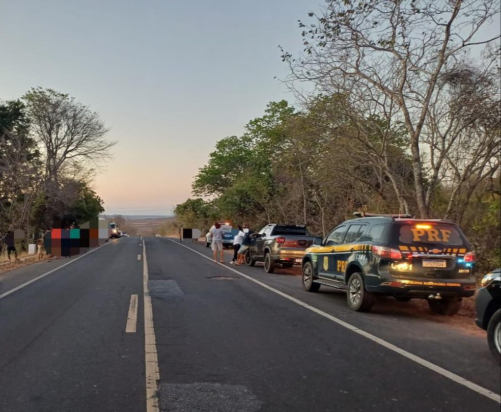 Motorista morre e três ficam feridos após carro tombar e bater contra duas árvores na BR-135 — Foto: Divulgação/PRF