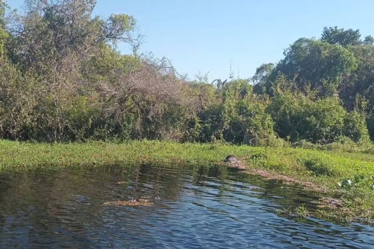 Homem é achado morto em rio do Pantanal de MS