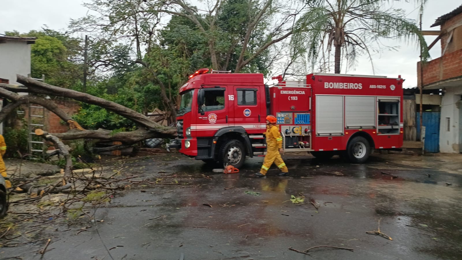 Temporal derruba árvores, destelha imóveis e provoca alagamentos no interior de SP