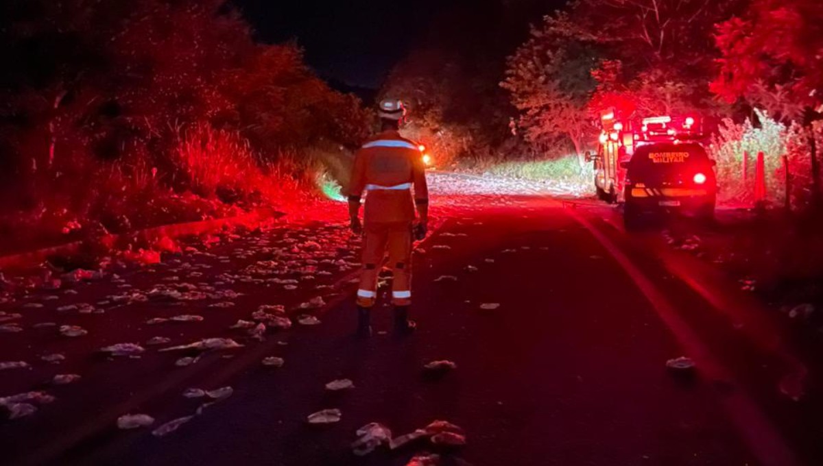 Acidente entre ônibus e carreta deixa um morto e feridos na BR-259 em Galiléia; veículo transportava estudantes