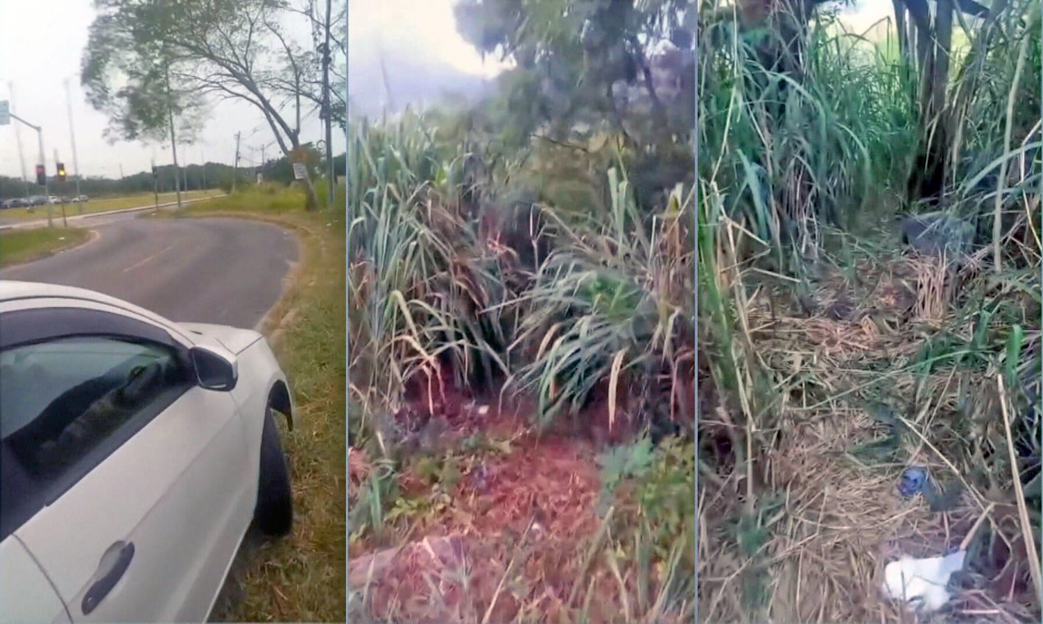 Assaltos no Recreio: moradores denunciam esconderijo de ladrões em matagal na Avenida das Américas