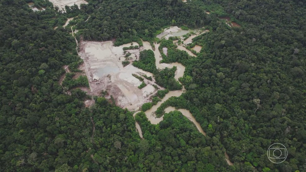 O desmatamento na Amazônia, em 12 meses, foi o menor dos últimos cinco anos, de acordo com dados do Inpe — Foto: Reprodução/TV Globo