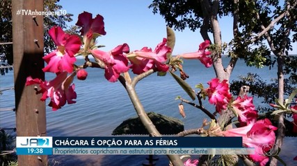 Chácaras são opções para férias no Tocantins