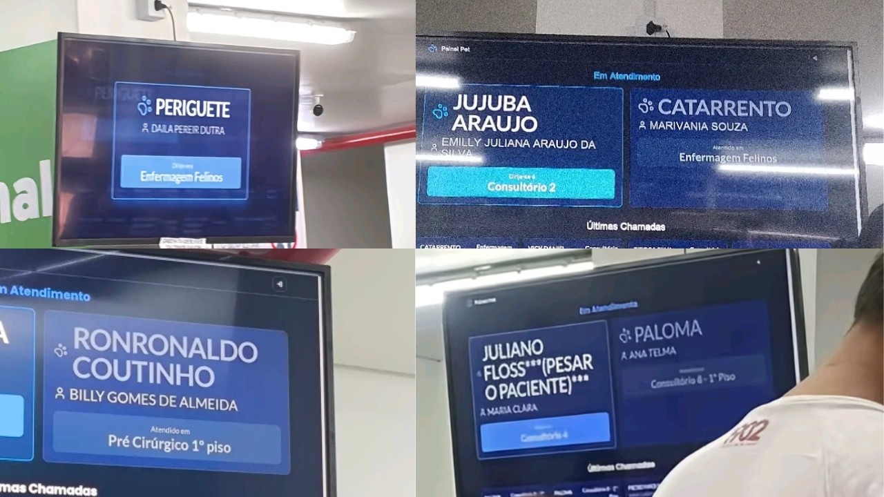 De 'Ronronaldo Coutinho' a 'Catarrento': nomes criativos de pets em hospital veterinário público do AM viralizam nas redes sociais