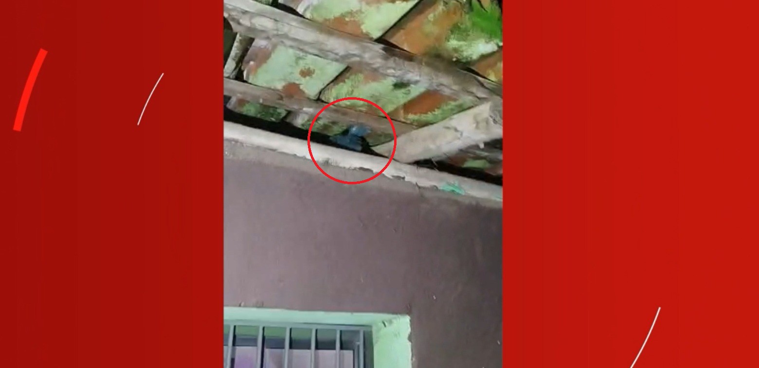 VÍDEO: PM apreende cocaína em casa onde irmãs de 4 e 6 anos foram encontradas sozinhas em MG