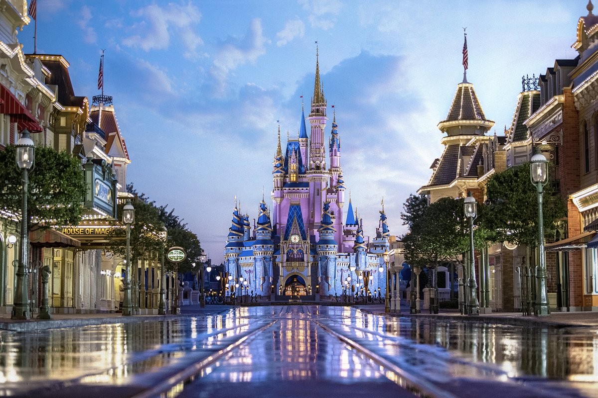 Unusual bear ‘visit’ closes Disney park areas in the US and generates memes