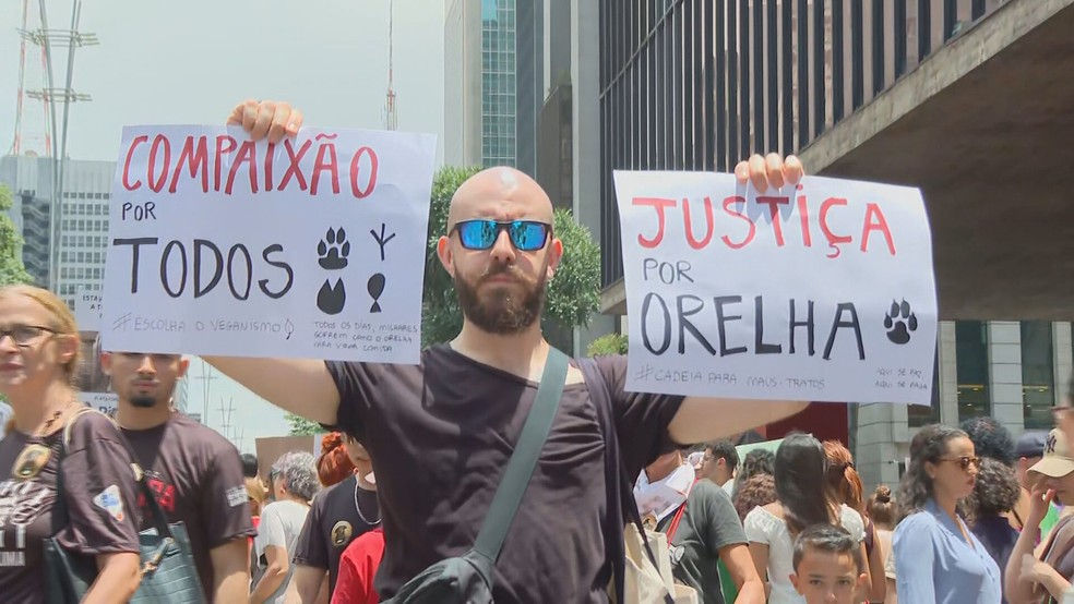Manifestantes fazem ato na Av. Paulista neste domingo (1°) pedindo Justiça pelo cão orelha, morto em Florianópolis (SC). — Foto: Reprodução/TV Globo