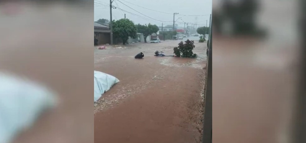 Houve registro de alagamentos em Luizi&acirc;nia (SP) &mdash; Foto: Reprodu&ccedil;&atilde;o / Rede Social