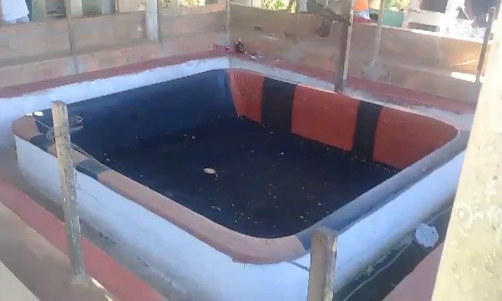Local onde animais eram colocados para brigar é de alvenaria — Foto: Polícia Militar