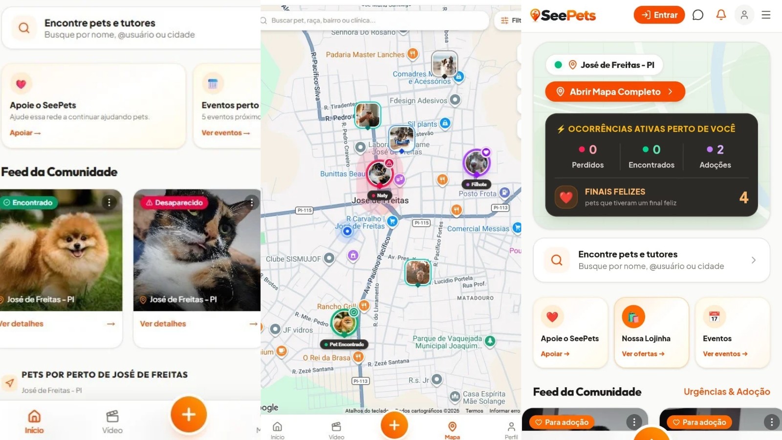 Inspirado por cachorro perdido, empresário cria rede social para conectar tutores, pets e adoções no PI