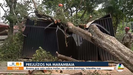 No bairro da Marambaia, uma árvore cai sobre um trailer e causa prejuízos na área