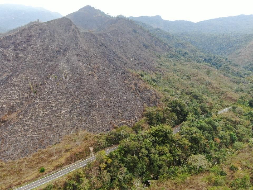 Responsável por área de proteção ambiental em Bananal é multado em R$ 34 mil por incêndio