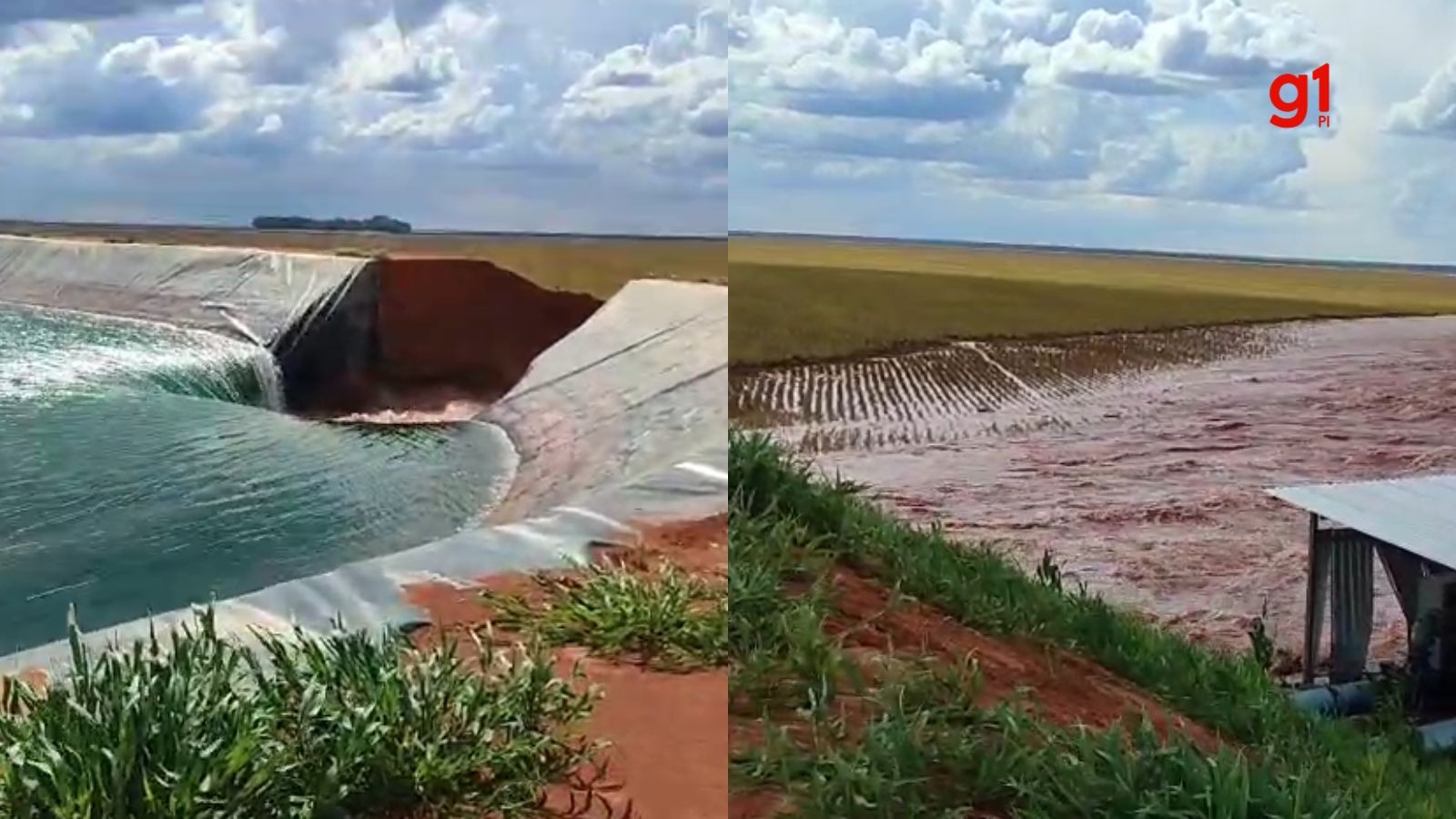 VÍDEO: Reservatório rompe em fazenda e atinge plantação de soja no Sul do PI