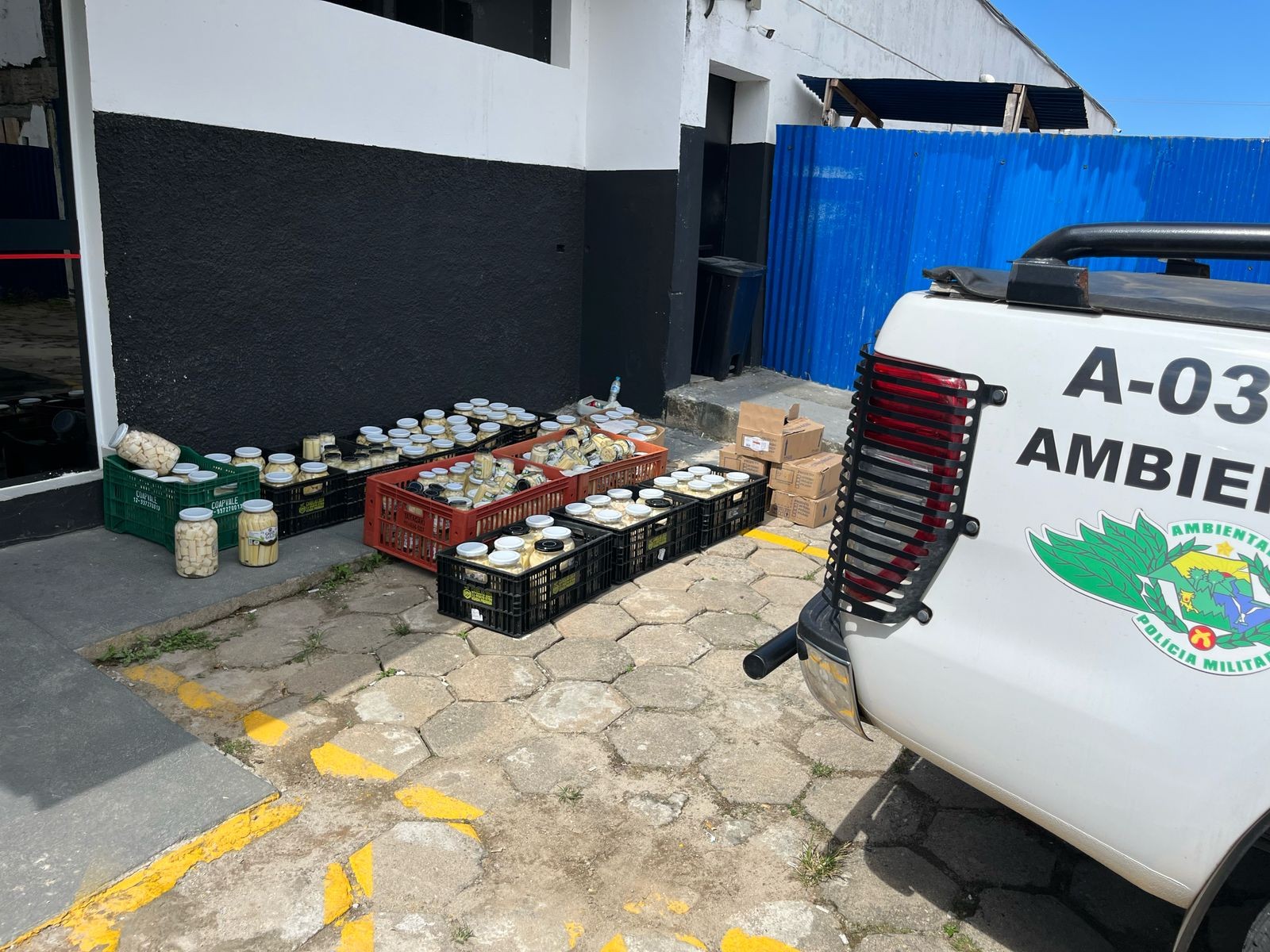 Polícia Militar Ambiental apreende quase 800 kg de palmito irregular no Litoral Norte de SP