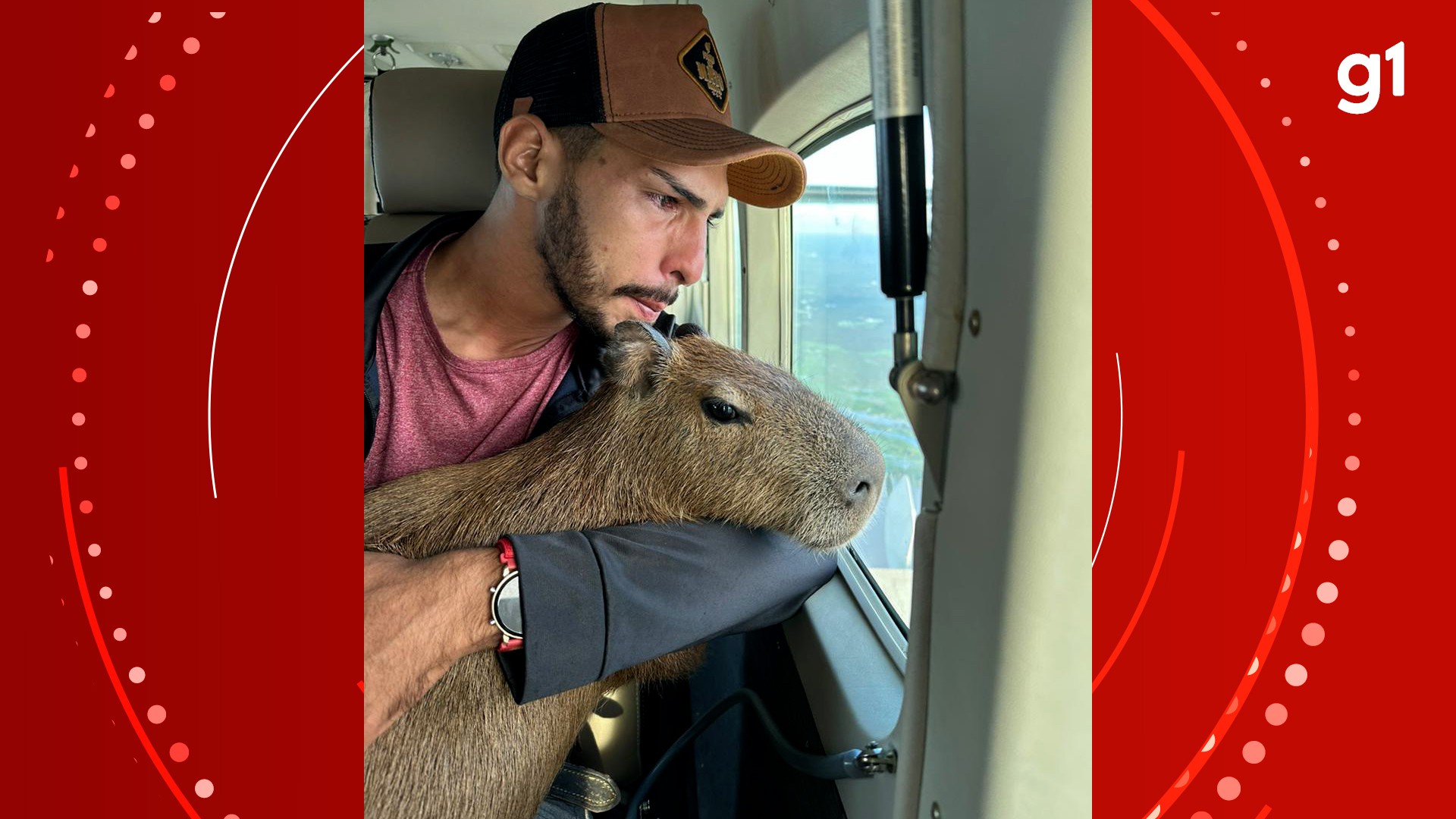 Justiça determina que capivara Filó seja devolvida ao Ibama e nega guarda definitiva a influenciador