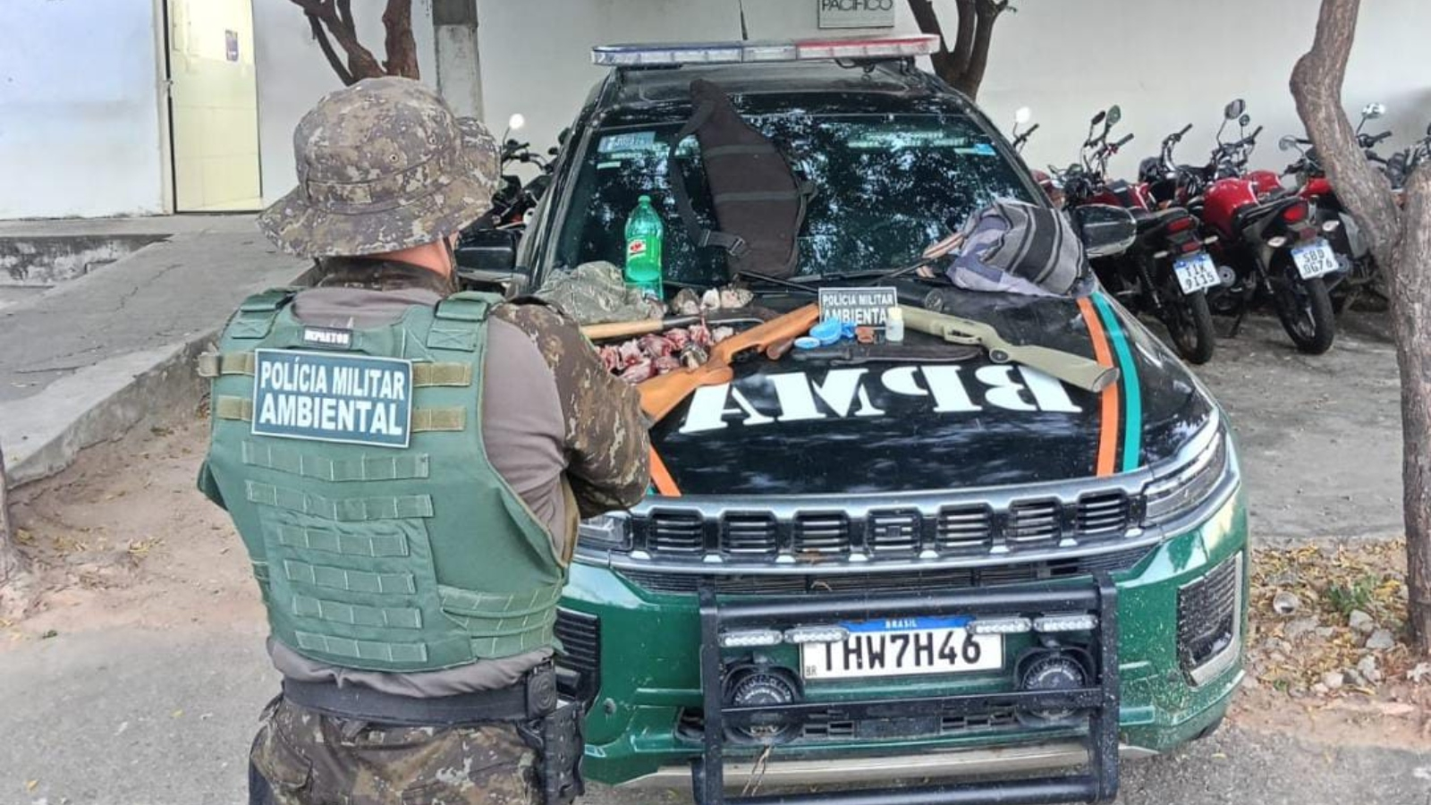 PM apreende armas e aves abatidas durante ação contra caça ilegal no interior do Ceará