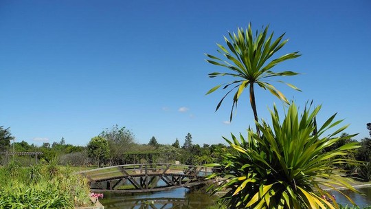 Jardim Botânico do DF completa 39 anos; veja programação de aniversário